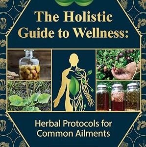 The Holistic Guide to Wellness
